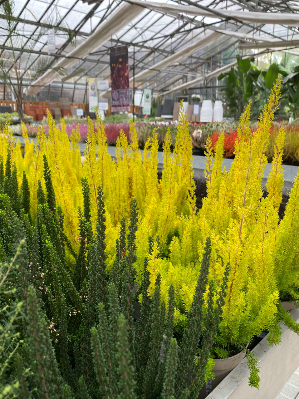 La stagione dei colori caldi e delle fioriture