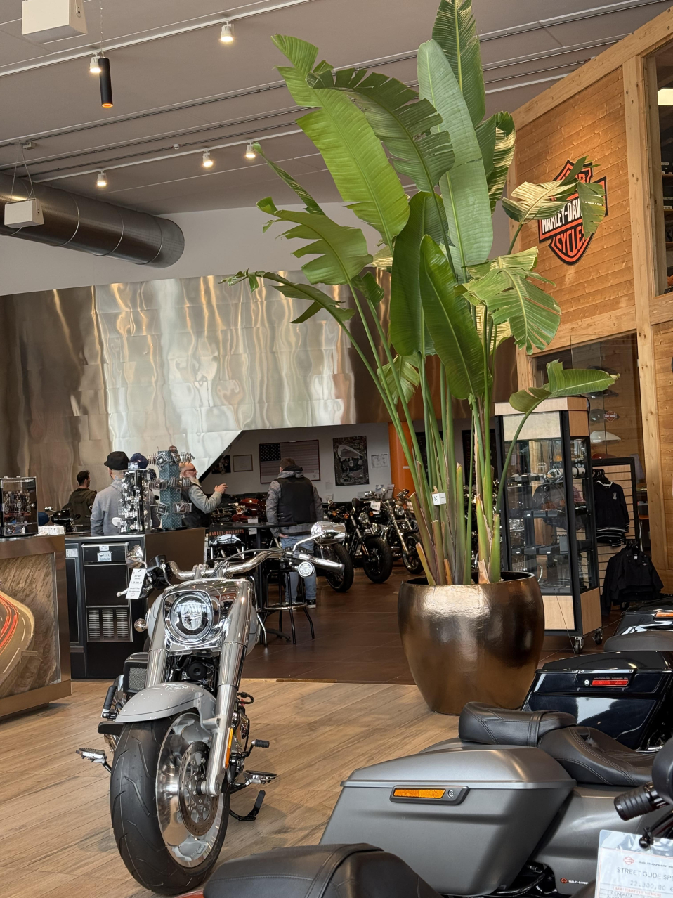 Harley Davidson