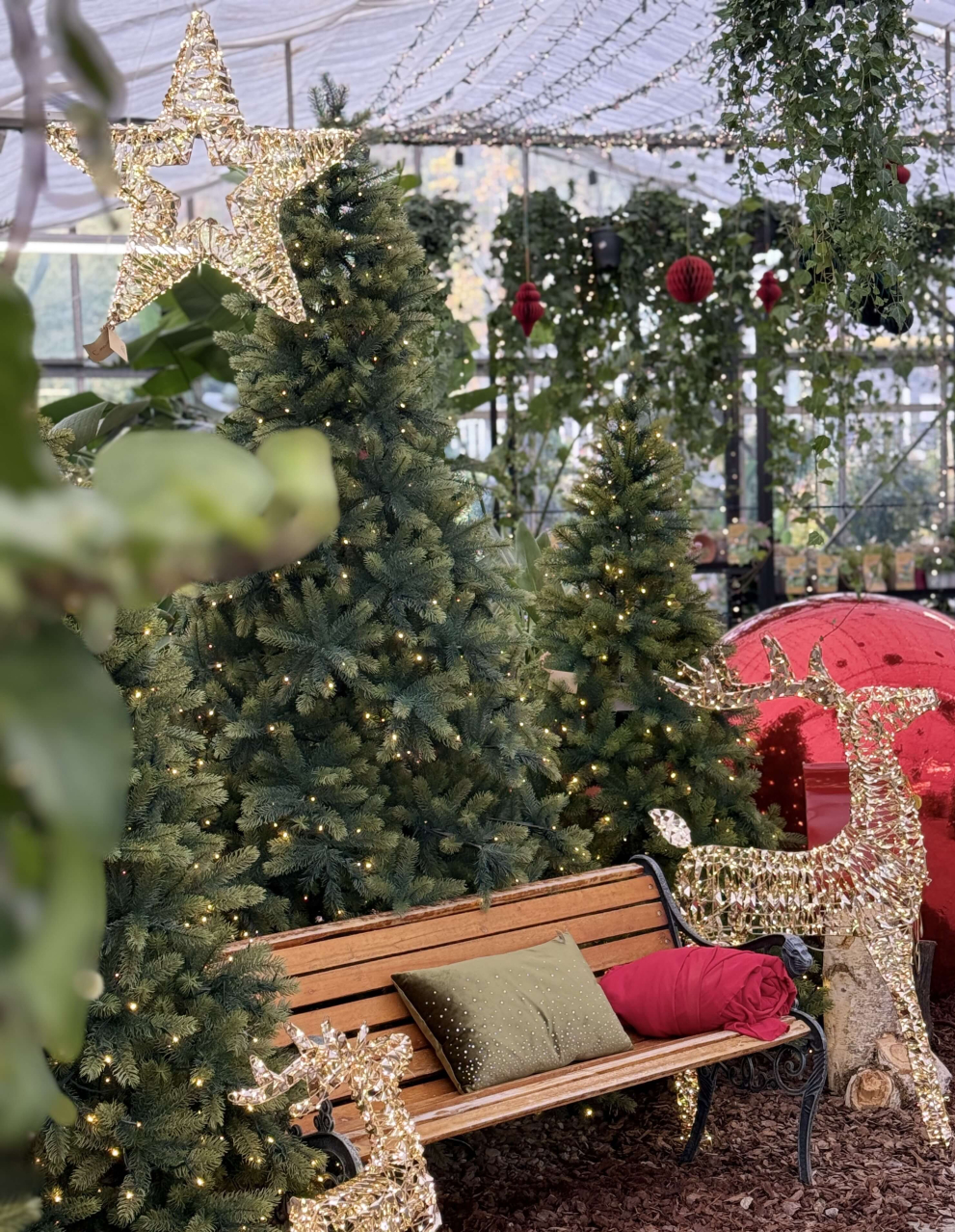 Argonflor Christmas village